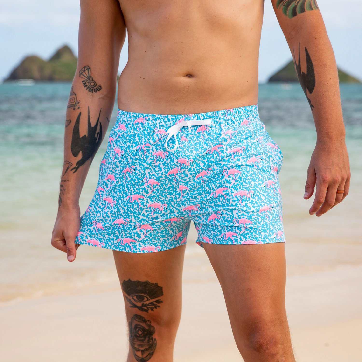 chubbies bathing suits mens