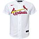 Nike Youth Arizona Cardinals Home Replica Jersey                                                                                 - view number 2 image