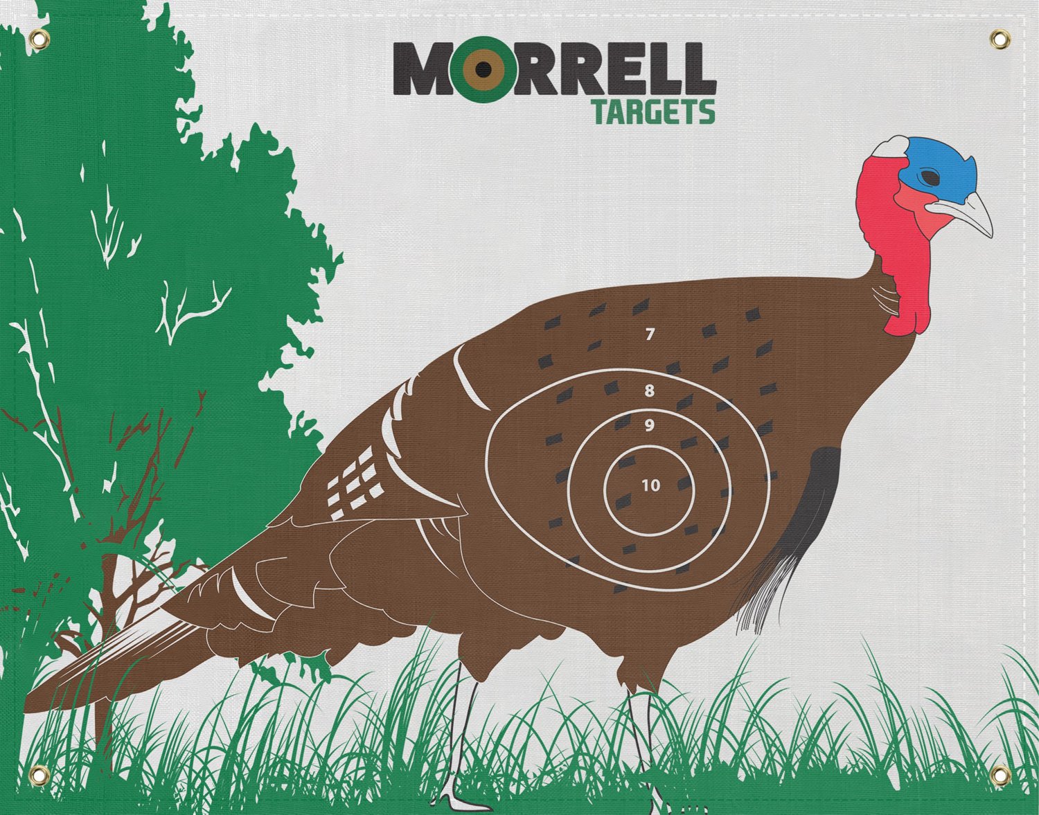 Morrell IBO/NASP Turkey 42 x 28 in Archery Target Academy