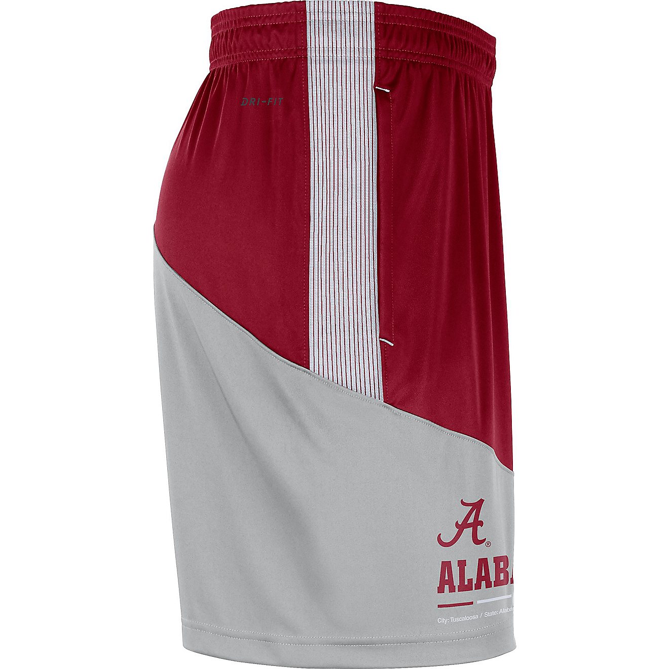 Nike Men's University of Alabama Dri-FIT Knit Shorts                                                                             - view number 4