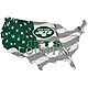 Fan Creations New York Jets USA Shape Cutout Wall Decor                                                                          - view number 1 image