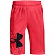 Under Armour Boys' Prototype 2.0 Supersize Shorts 8.25 in.                                                                       - view number 1 image