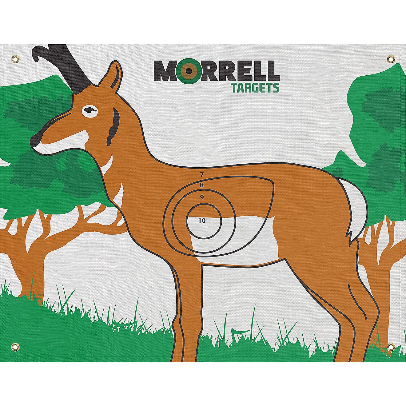 Morrell IBO/NASP Antelope 42 x 28 in Archery Target                                                                              - view number 1