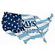 Fan Creations Tampa Bay Rays USA Shape Cutout Wall Decor                                                                         - view number 1 image