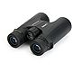 Celestron Outland X 8 x 42 Roof Binoculars                                                                                       - view number 1 image