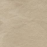 Light Khaki
