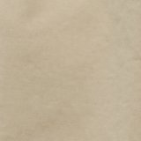 Light Khaki