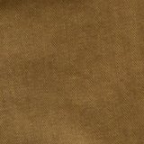 Toasted Almond