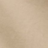 Light Khaki