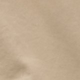 Light Khaki