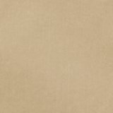 Light Khaki