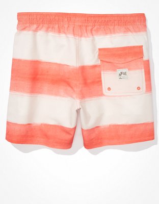 AE 5.5" Striped Swim Trunk