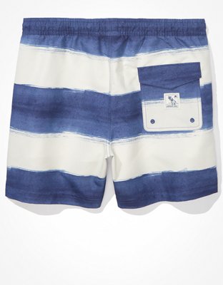 AE 5.5" Striped Swim Trunk