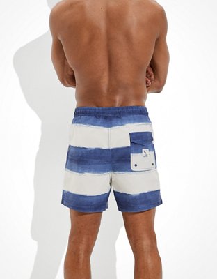 AE 5.5" Striped Swim Trunk