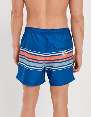 AE 5.5" Striped Swim Trunk