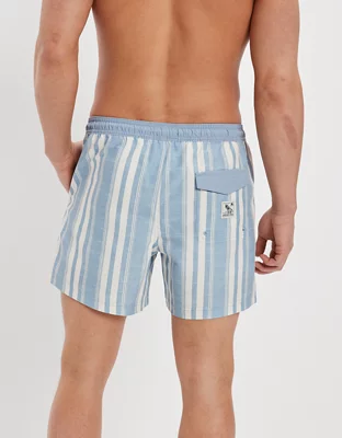 AE 5.5" Striped Swim Trunk