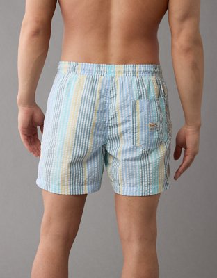 AE 5" Striped Swim Trunk