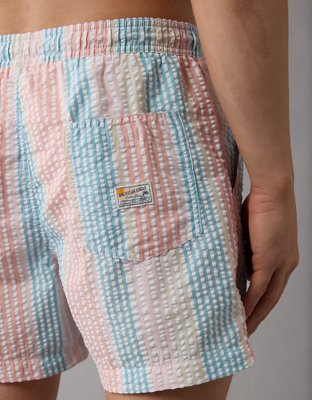 AE 5" Striped Swim Trunk