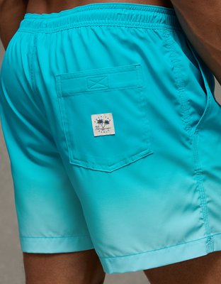AE 5" Flex Swim Trunk