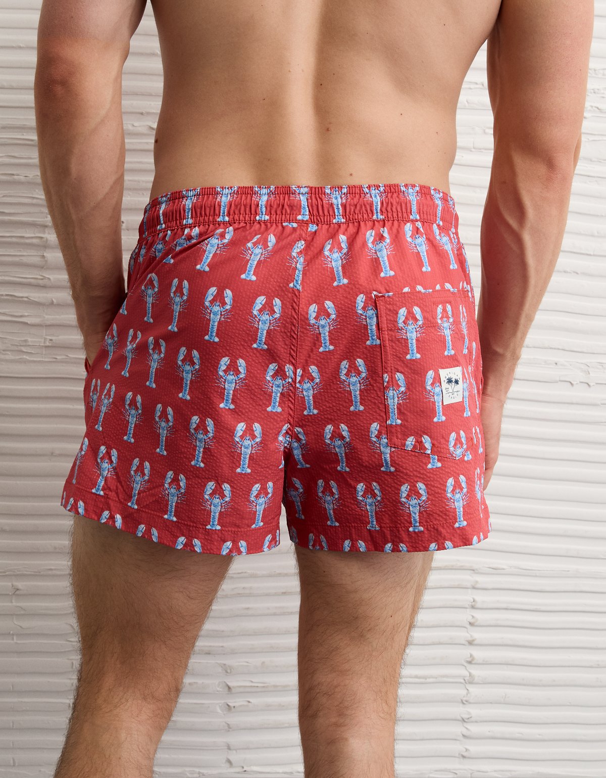 AE 3" Swim Trunk - image 2