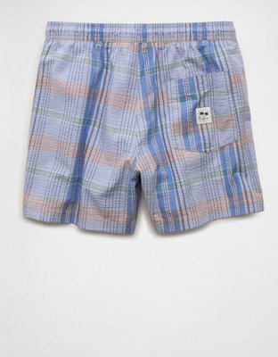 AE 5" Swim Trunk