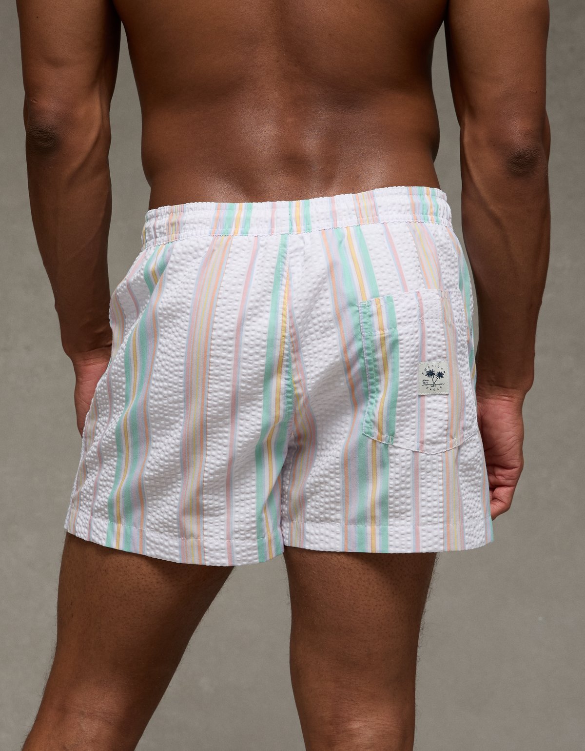 AE Pride 5" Flex Swim Trunk - image 5