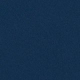 Rich Navy