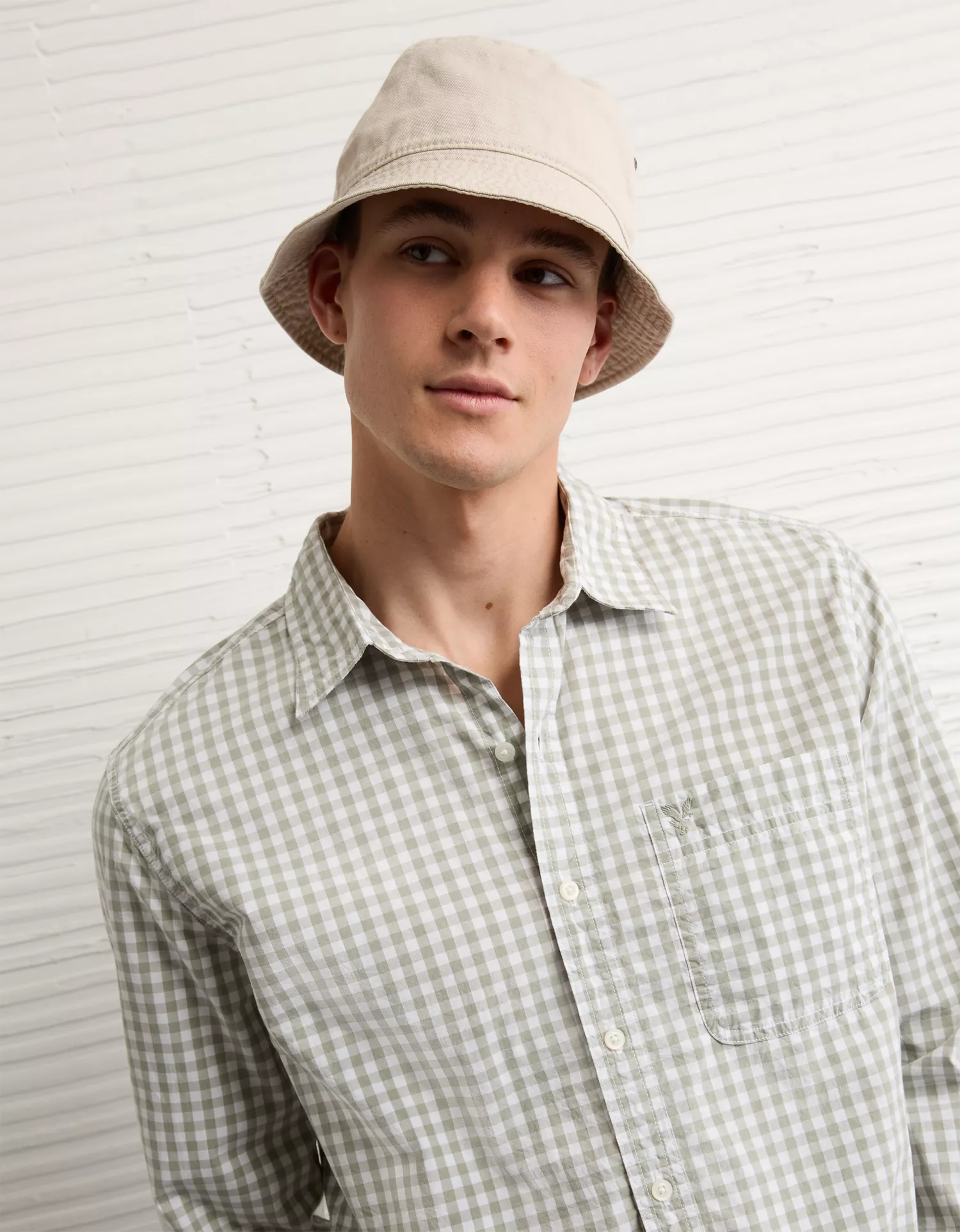 AE Standard Fit Poplin Button-Up Shirt - thumbnail 6