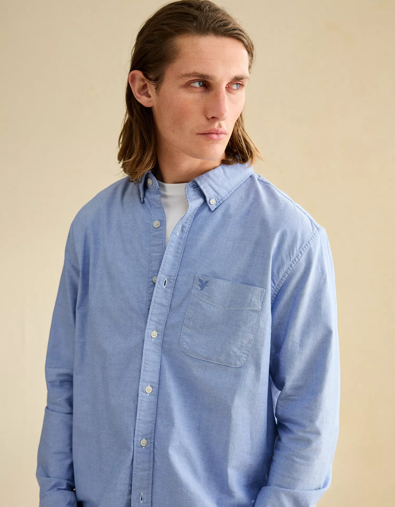 AE Standard Fit Oxford Button-Up Shirt - thumbnail 6