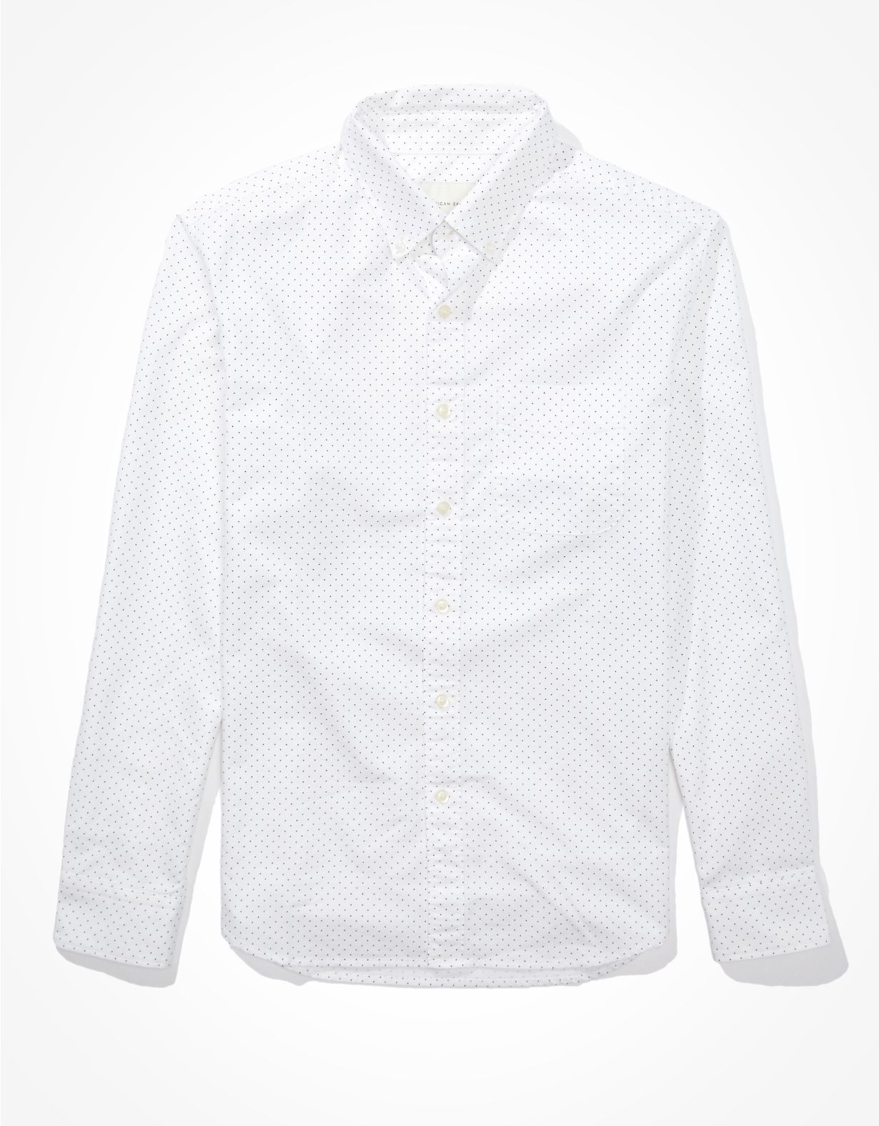 AE Printed Oxford Button Up Shirt