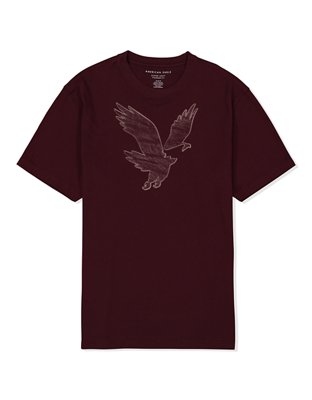 AE Super Soft Graphic T-Shirt