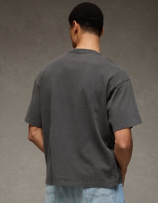 AE Boxy Bald Eagle Graphic T-Shirt