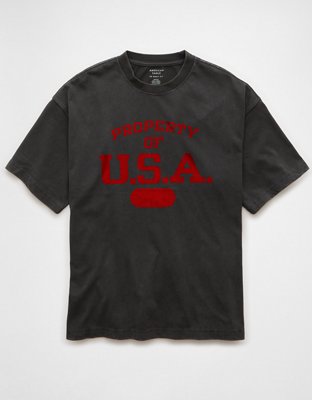 AE Boxy Ski Graphic T-Shirt