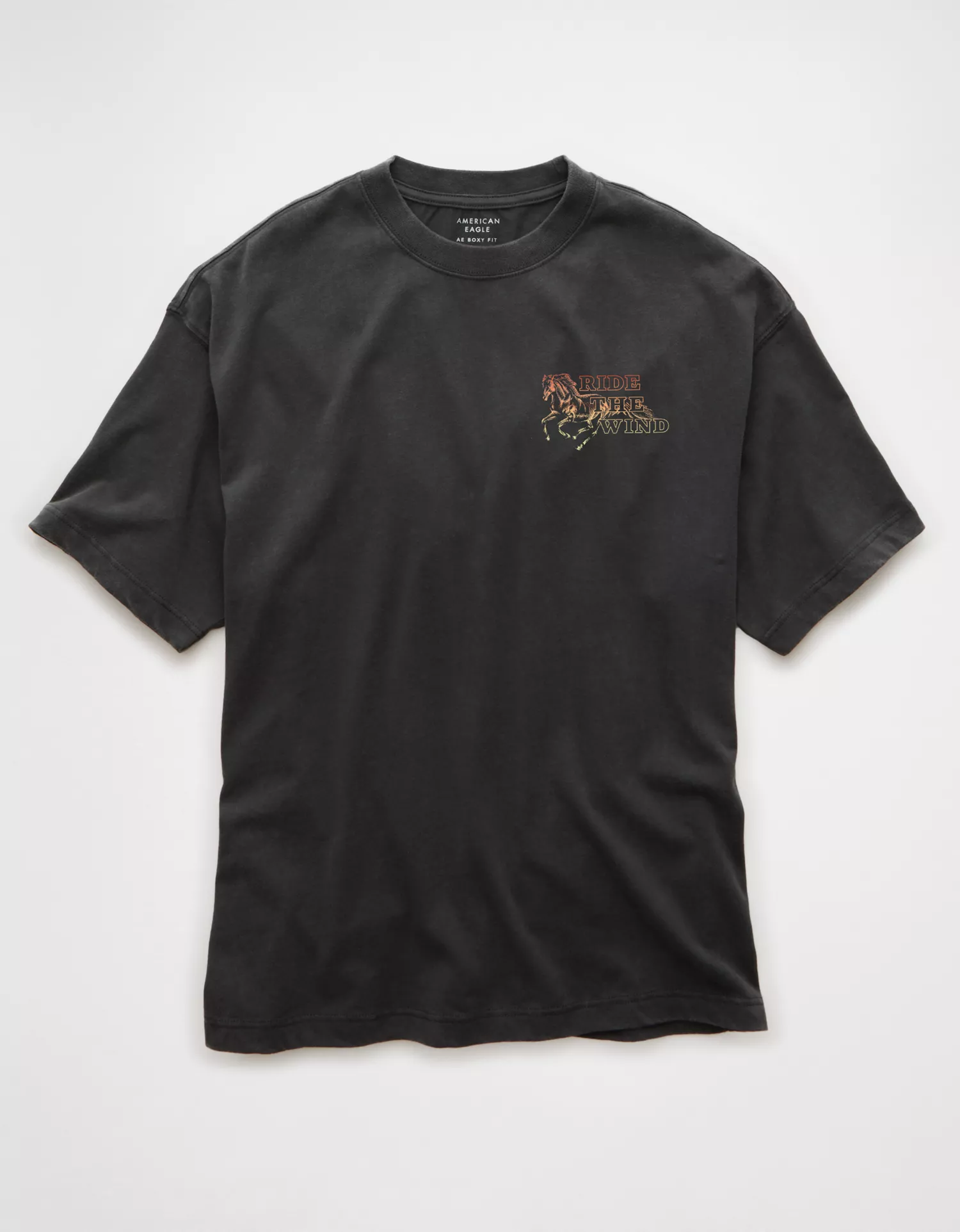 AE Boxy Destination Graphic T-Shirt - thumbnail 4