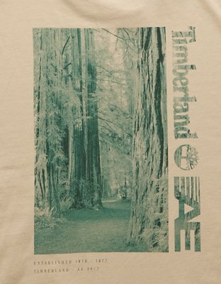 Мужские футболки American Eagle Timberland x AE Long-Sleeve Graphic T-Shirt — фото 5