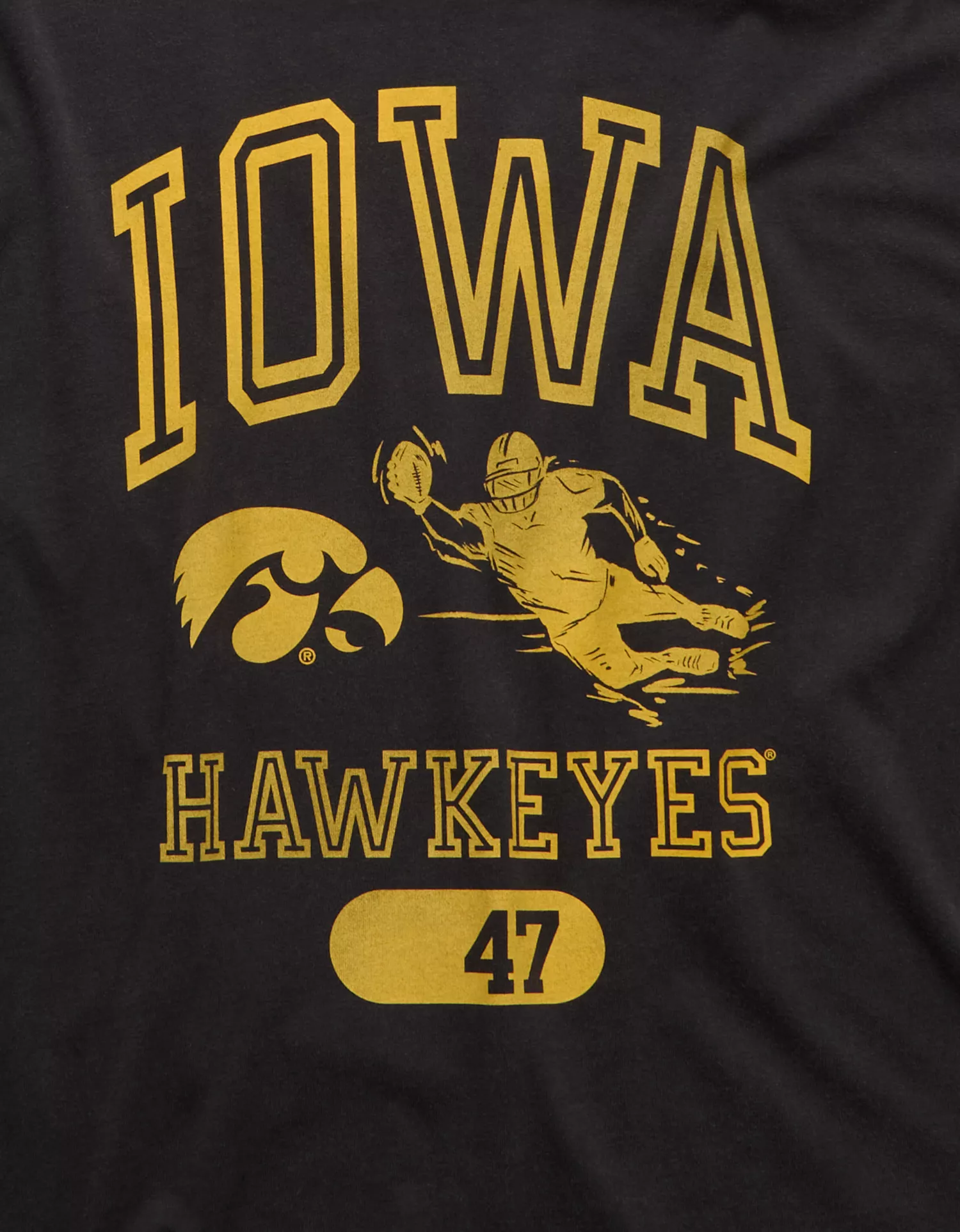 AE Boxy Fit Iowa Hawkeyes Graphic T-Shirt - thumbnail 6