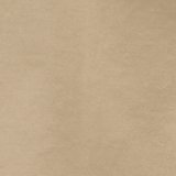 Light Khaki