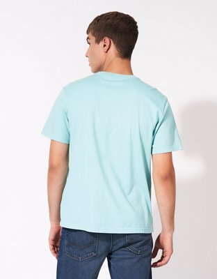 AE Flocked Graphic T-Shirt