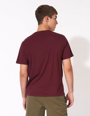 Мужские футболки American Eagle AE Flocked Graphic T-Shirt — фото 2