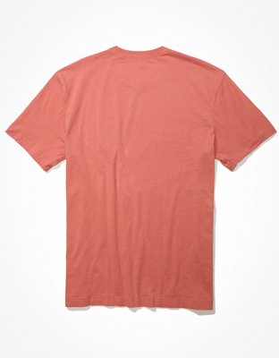 AE Logo Graphic T-Shirt