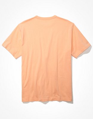 AE Logo Graphic T-Shirt