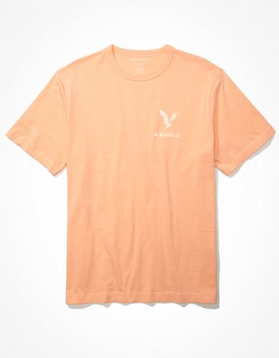 AE Logo Graphic T-Shirt