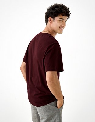 AE Logo Graphic T-Shirt