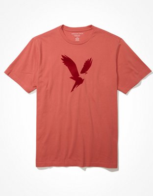 AE Logo Graphic T-Shirt