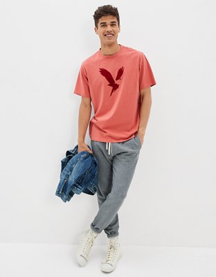 AE Logo Graphic T-Shirt