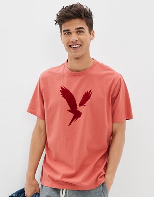 AE Logo Graphic T-Shirt