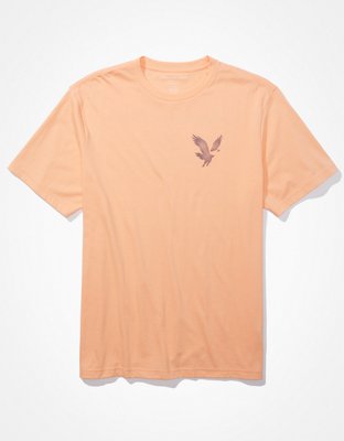 AE Super Soft Logo Graphic T-Shirt