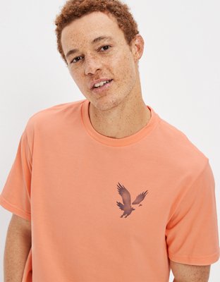 AE Logo Graphic T-Shirt