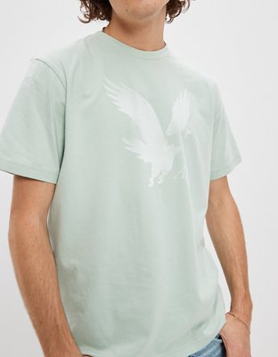 AE Logo Graphic T-Shirt