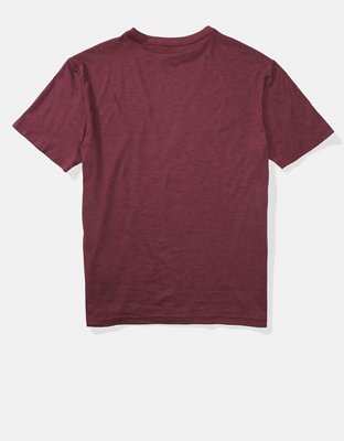 AE Logo Graphic Tee